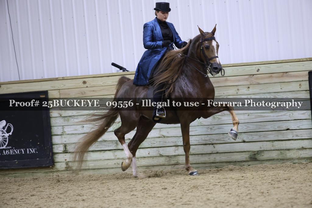 Proof Number 25BUCKEYE_09556