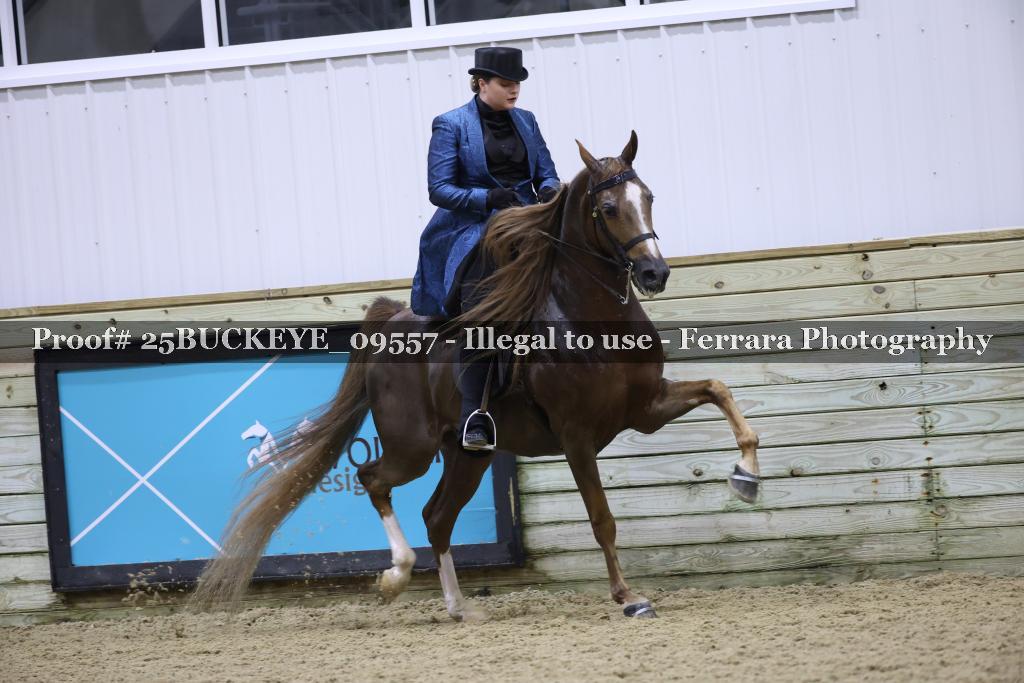 Proof Number 25BUCKEYE_09557