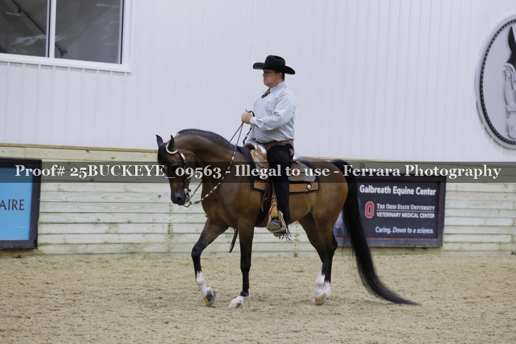 Proof Number 25BUCKEYE_09563