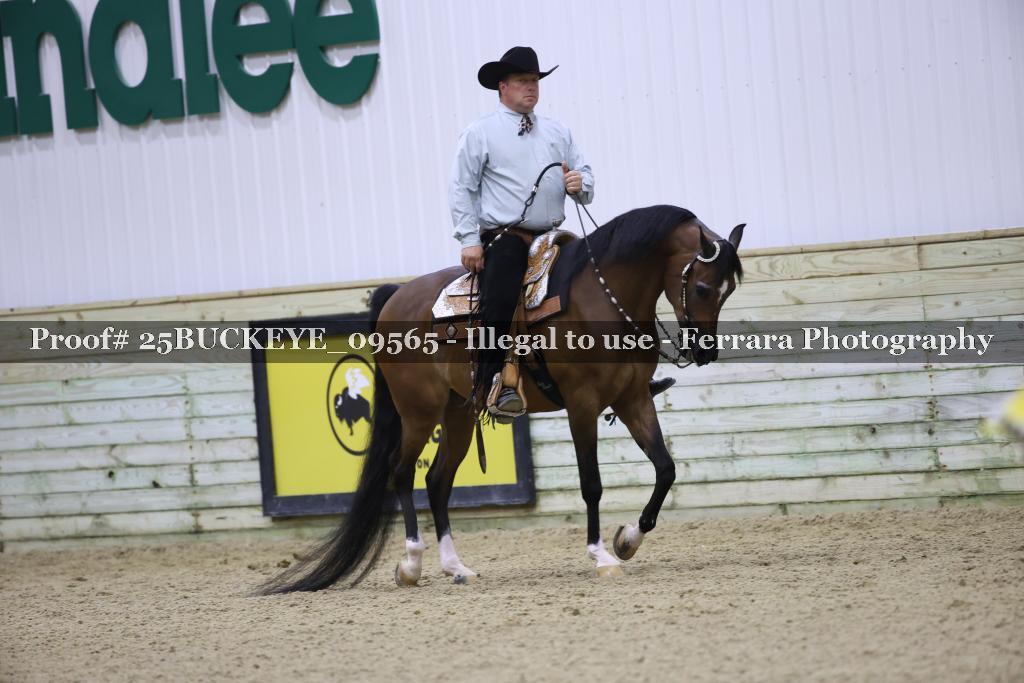 Proof Number 25BUCKEYE_09565