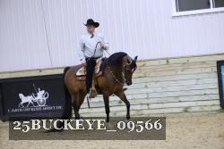 25BUCKEYE_09566 thumbnail