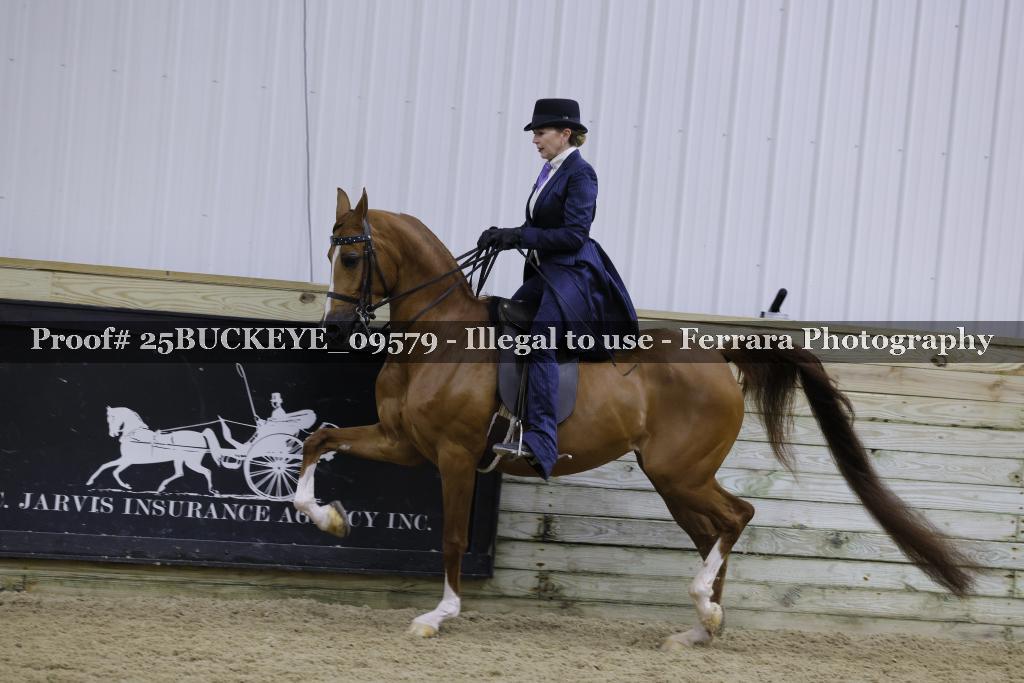Proof Number 25BUCKEYE_09579