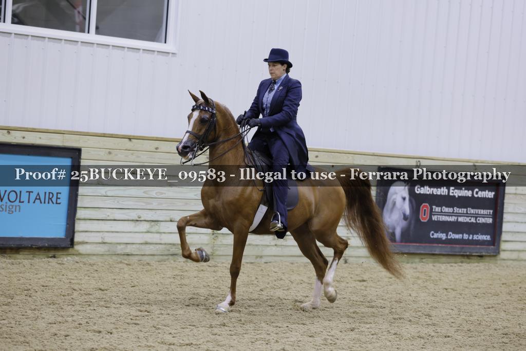 Proof Number 25BUCKEYE_09583
