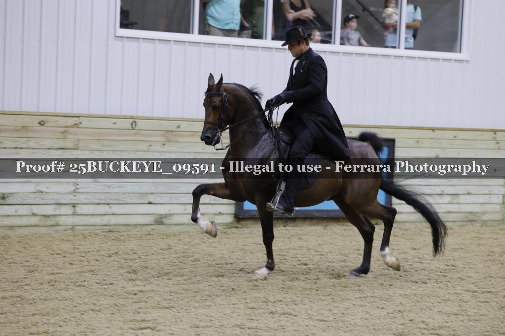 Proof Number 25BUCKEYE_09591