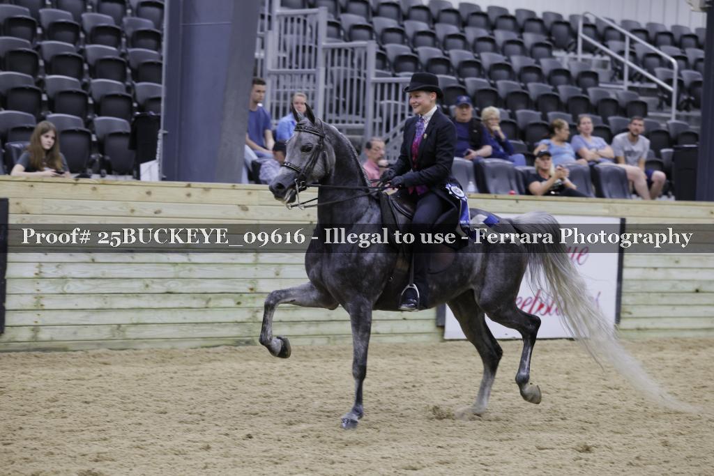Proof Number 25BUCKEYE_09616
