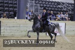 25BUCKEYE_09616 thumbnail