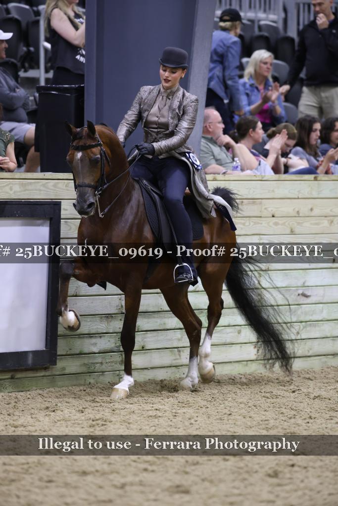 Proof Number 25BUCKEYE_09619