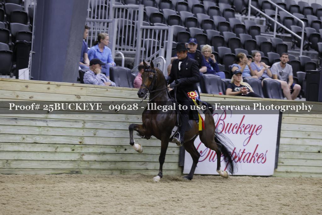Proof Number 25BUCKEYE_09628