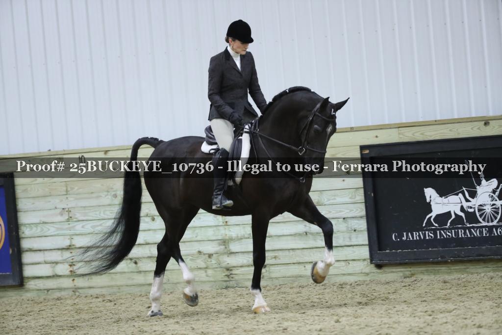 Proof Number 25BUCKEYE_10736