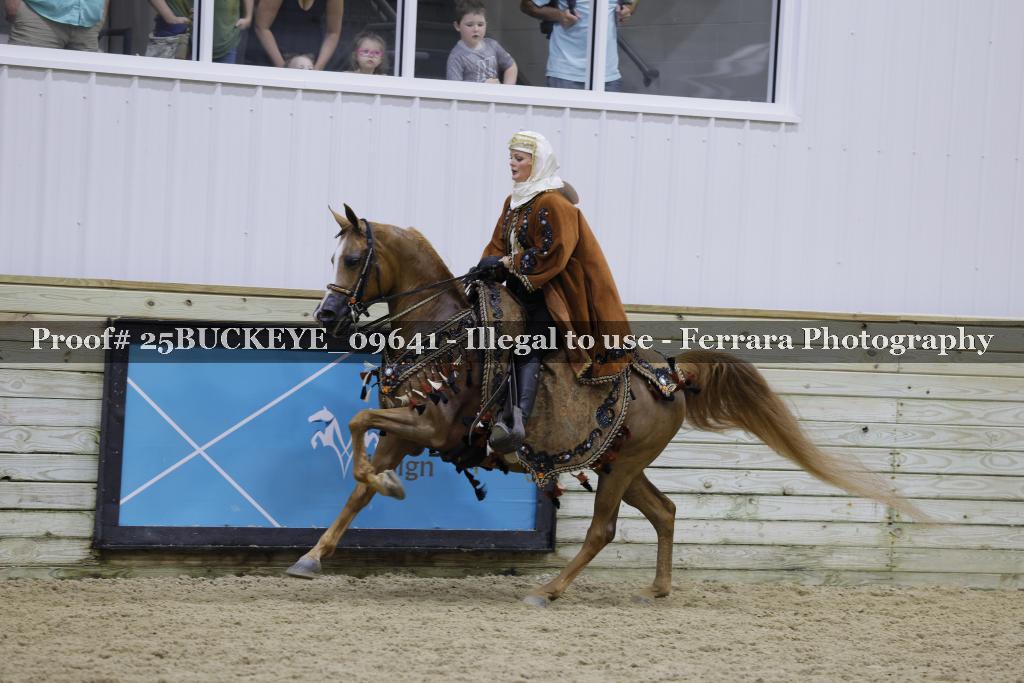 Proof Number 25BUCKEYE_09641
