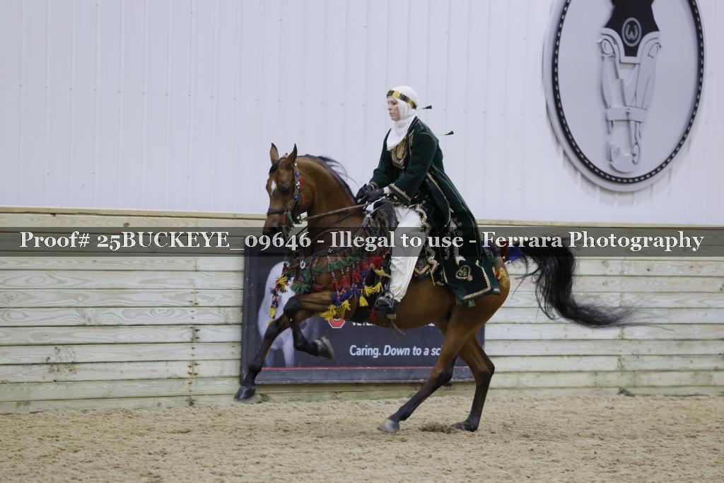 Proof Number 25BUCKEYE_09646