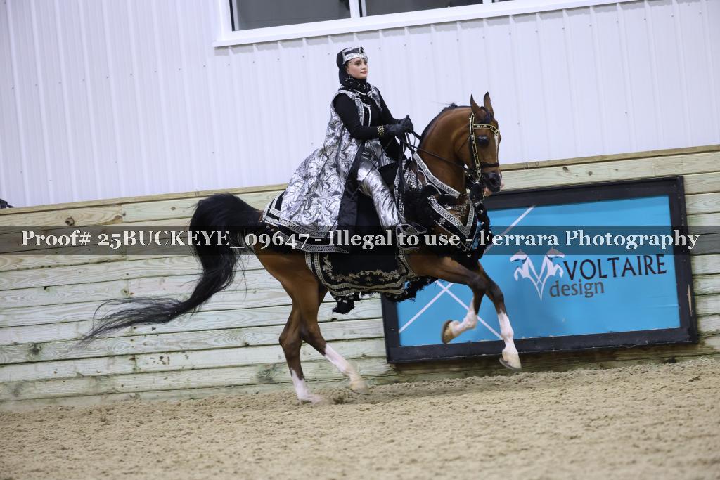 Proof Number 25BUCKEYE_09647