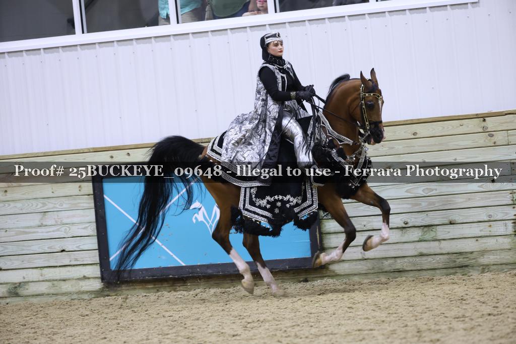 Proof Number 25BUCKEYE_09648