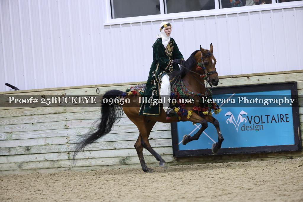 Proof Number 25BUCKEYE_09650