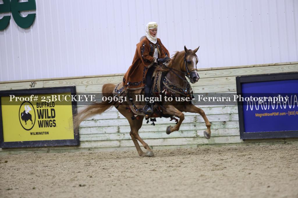 Proof Number 25BUCKEYE_09651