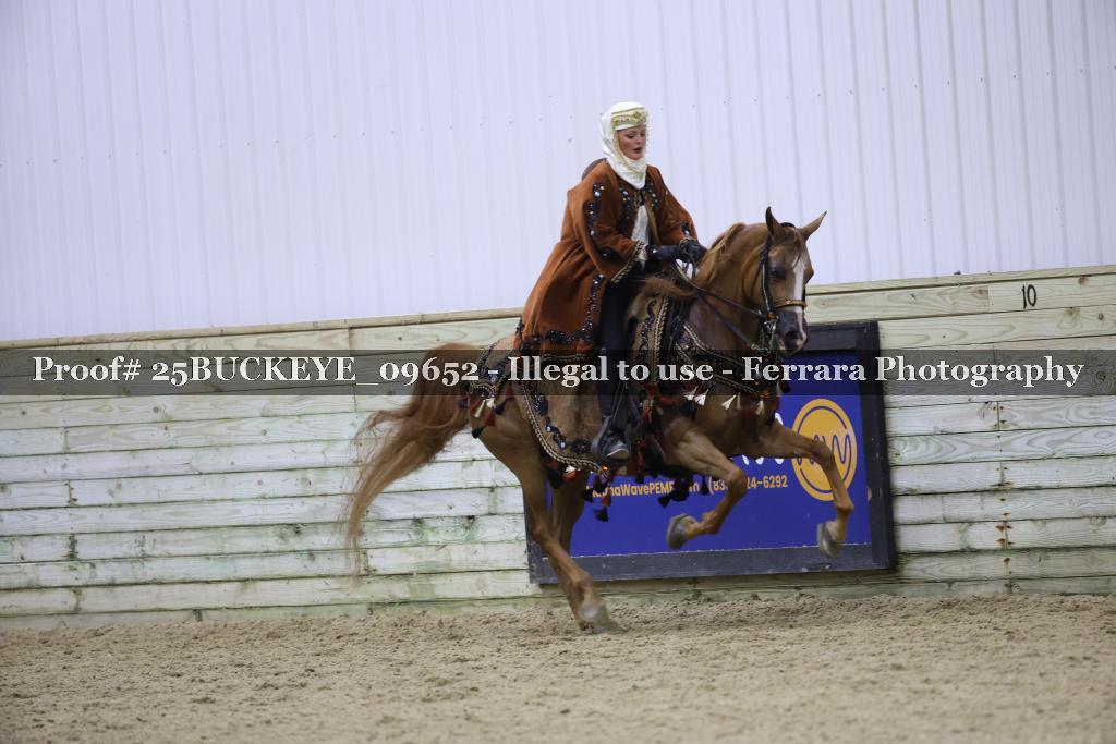 Proof Number 25BUCKEYE_09652