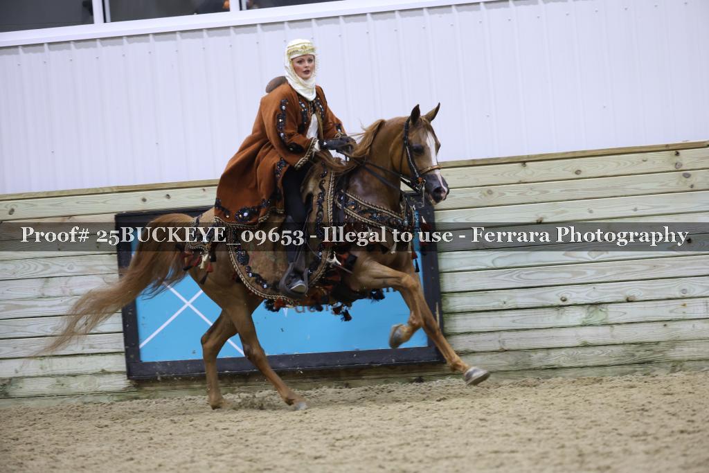 Proof Number 25BUCKEYE_09653