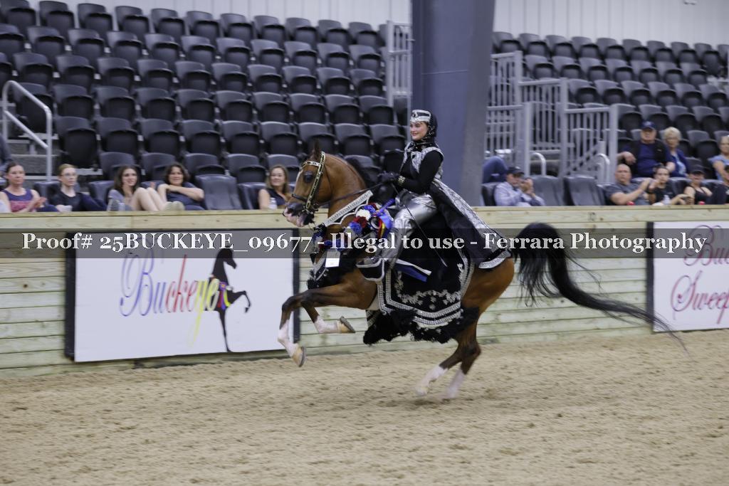 Proof Number 25BUCKEYE_09677