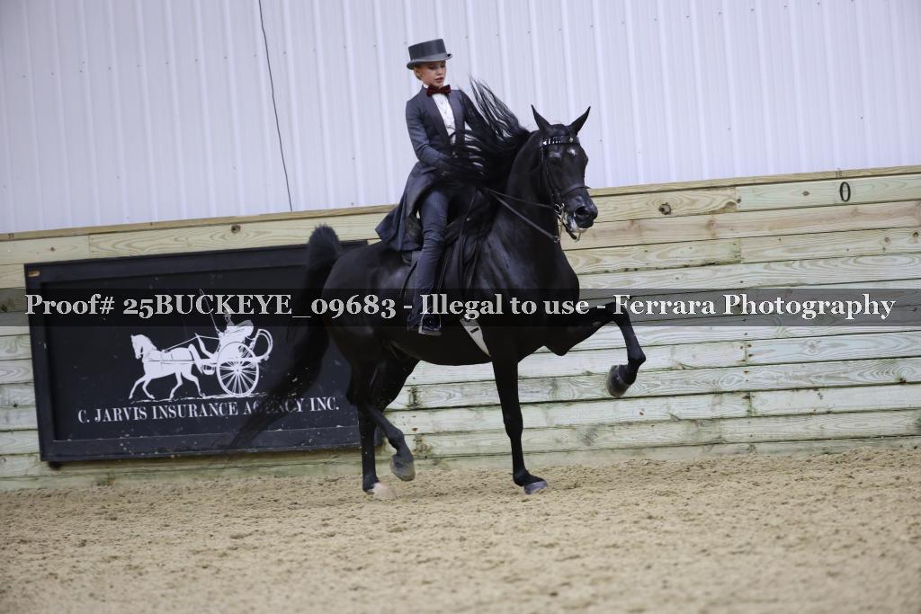 Proof Number 25BUCKEYE_09683