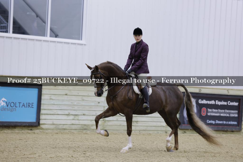 Proof Number 25BUCKEYE_09722