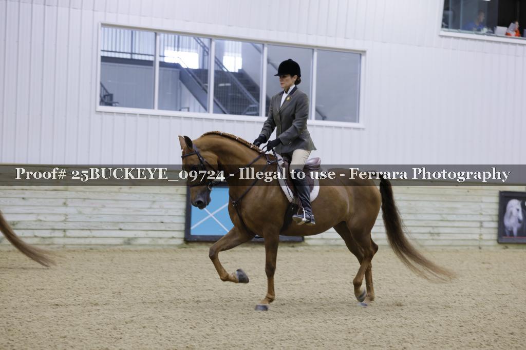 Proof Number 25BUCKEYE_09724