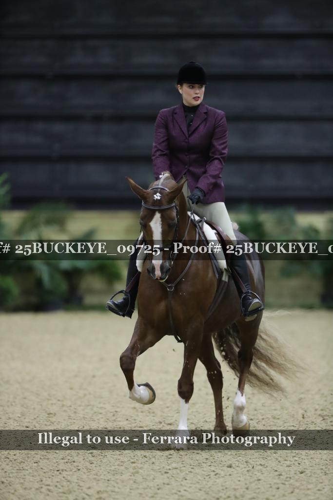Proof Number 25BUCKEYE_09725