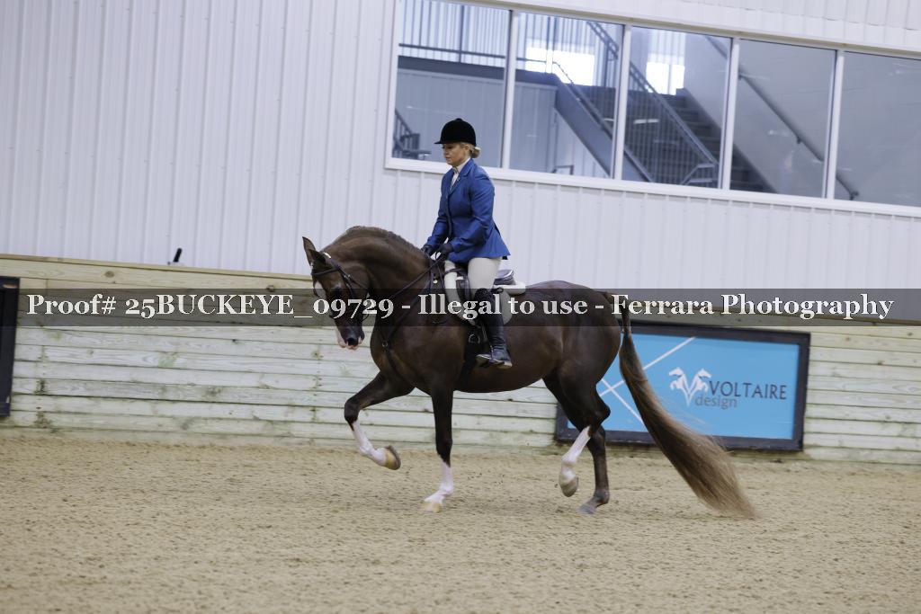 Proof Number 25BUCKEYE_09729