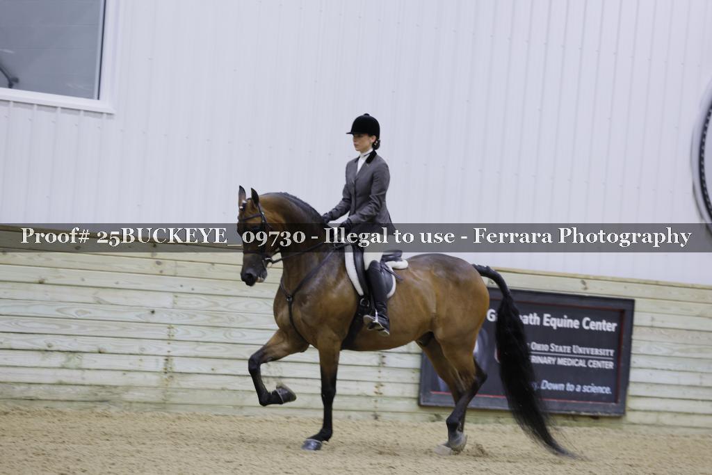 Proof Number 25BUCKEYE_09730