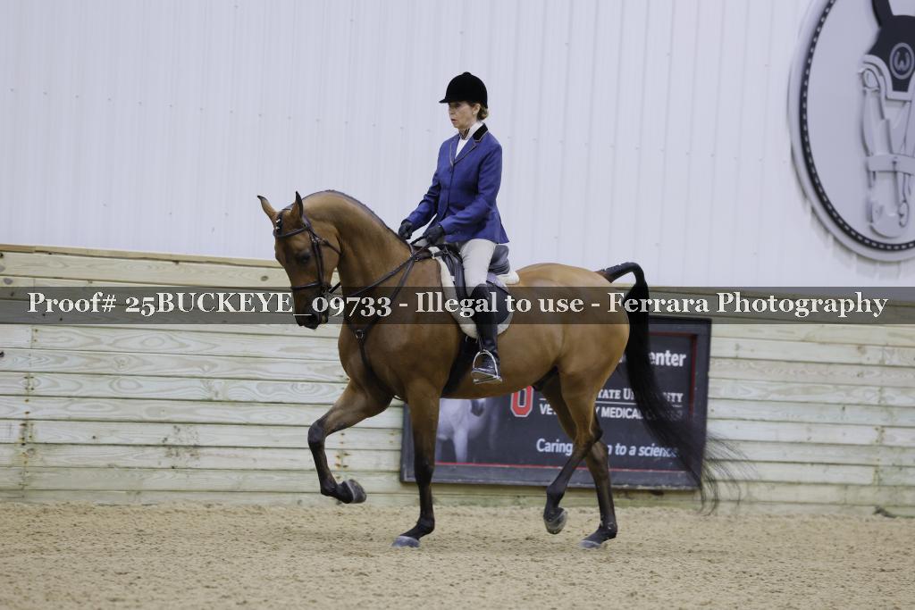Proof Number 25BUCKEYE_09733