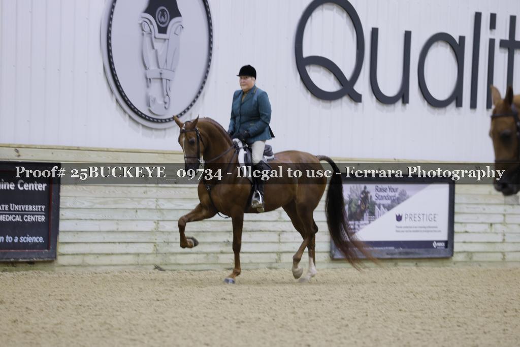 Proof Number 25BUCKEYE_09734