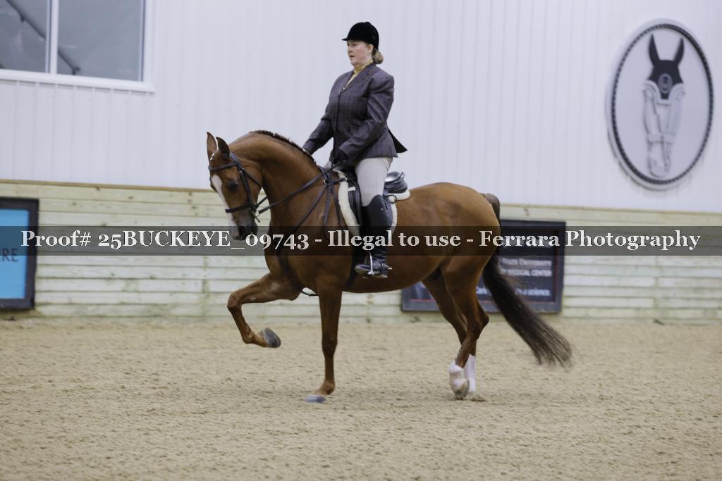 Proof Number 25BUCKEYE_09743
