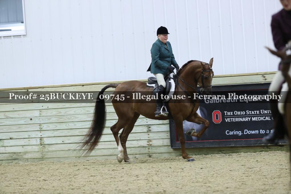 Proof Number 25BUCKEYE_09745