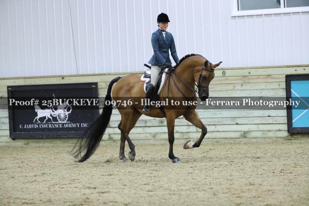 Proof Number 25BUCKEYE_09746