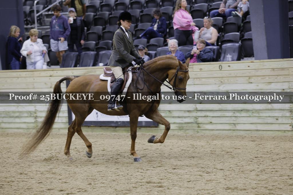 Proof Number 25BUCKEYE_09747