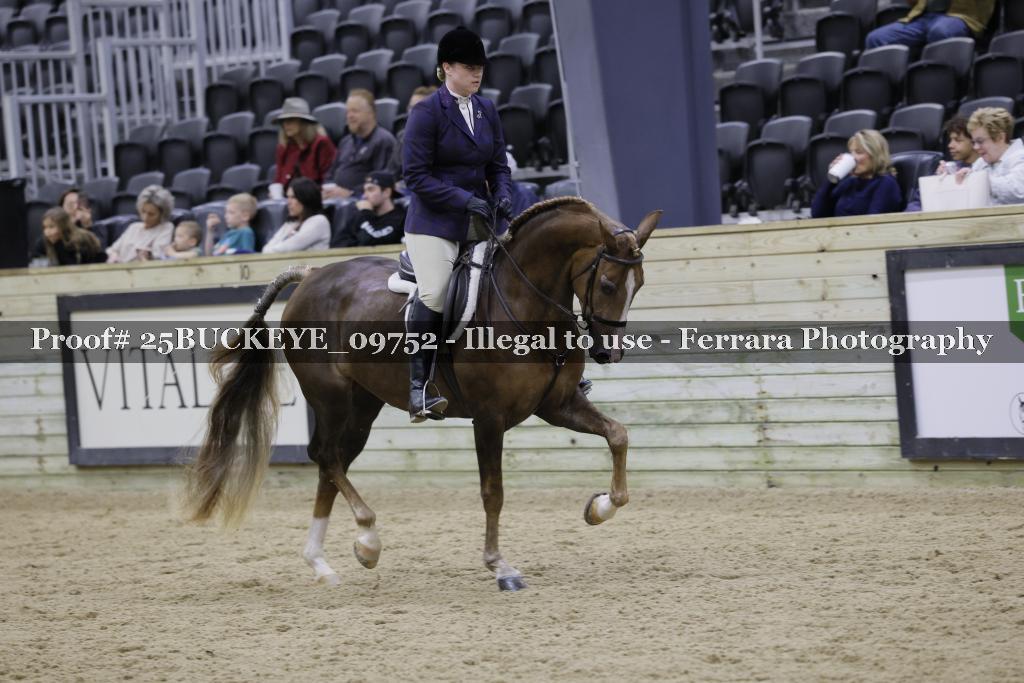 Proof Number 25BUCKEYE_09752