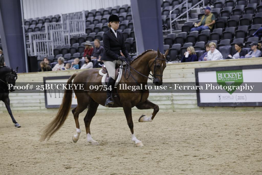 Proof Number 25BUCKEYE_09754