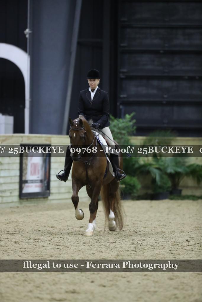 Proof Number 25BUCKEYE_09768