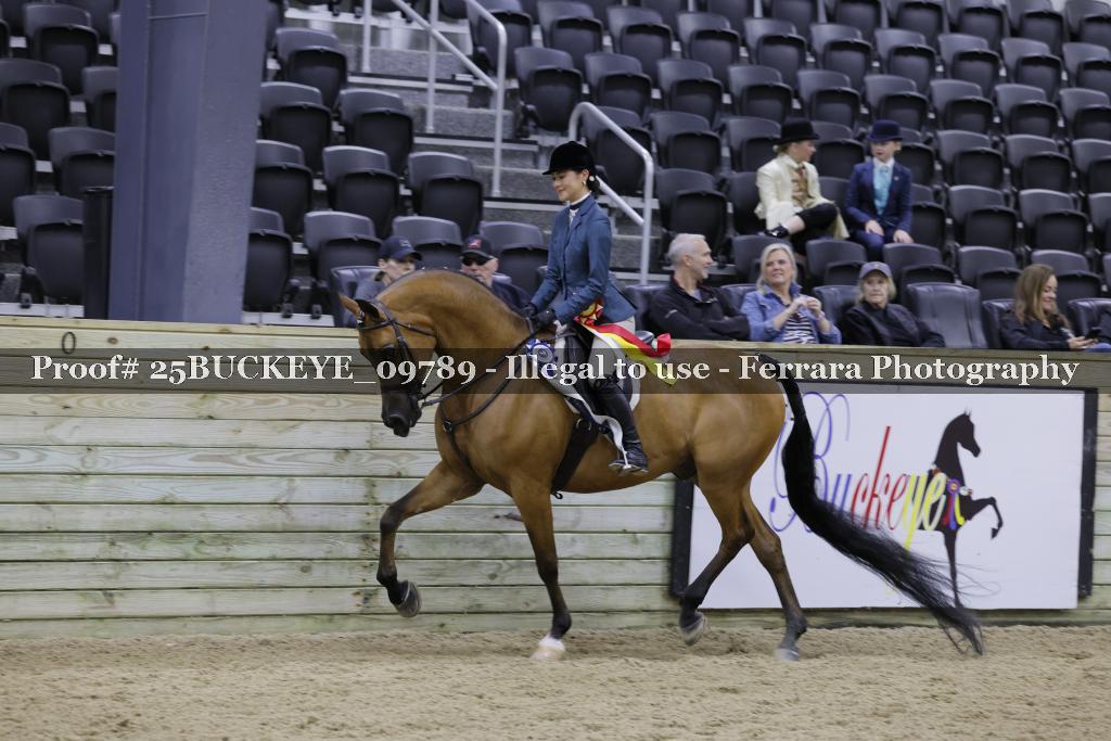 Proof Number 25BUCKEYE_09789
