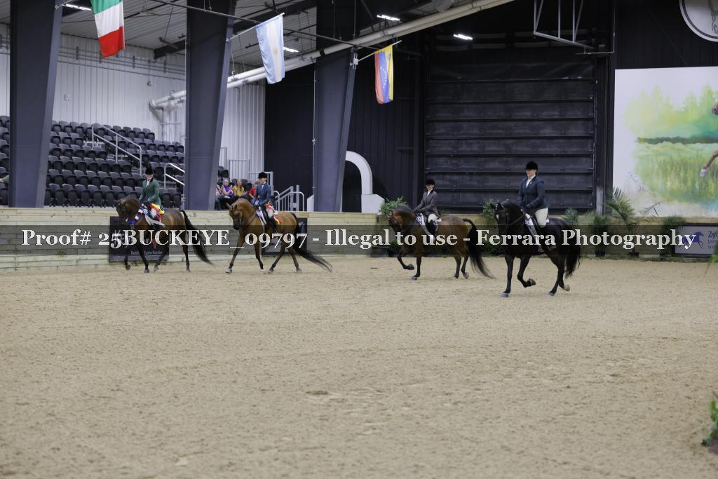 Proof Number 25BUCKEYE_09797