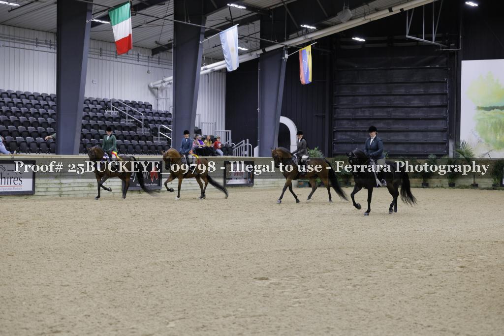 Proof Number 25BUCKEYE_09798