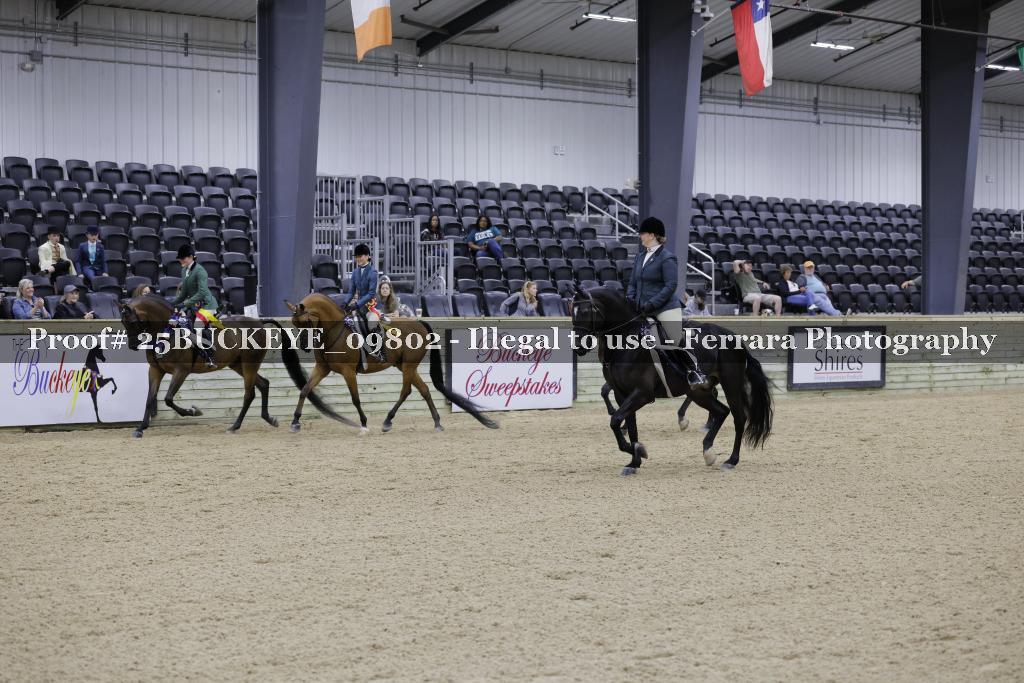 Proof Number 25BUCKEYE_09802