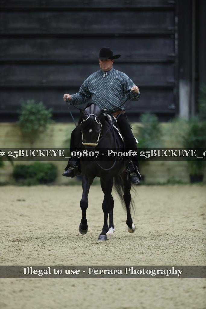 Proof Number 25BUCKEYE_09807
