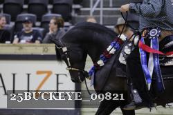 25BUCKEYE_09821 thumbnail