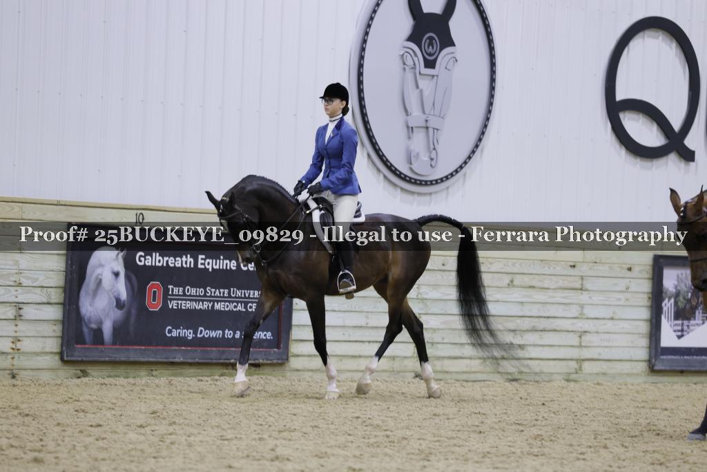 Proof Number 25BUCKEYE_09829