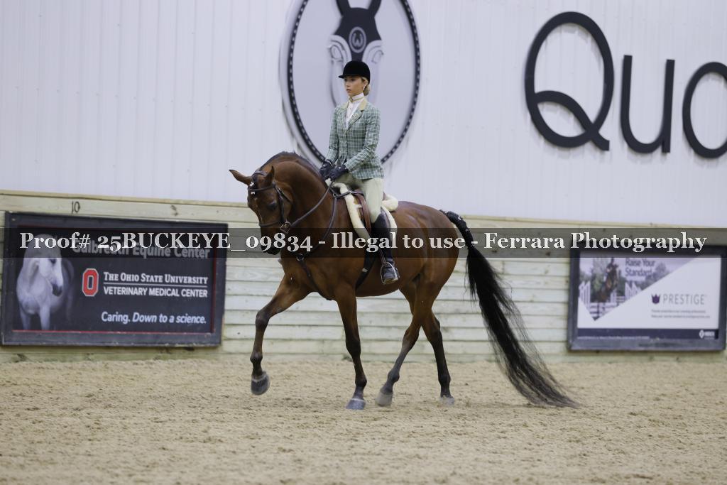 Proof Number 25BUCKEYE_09834