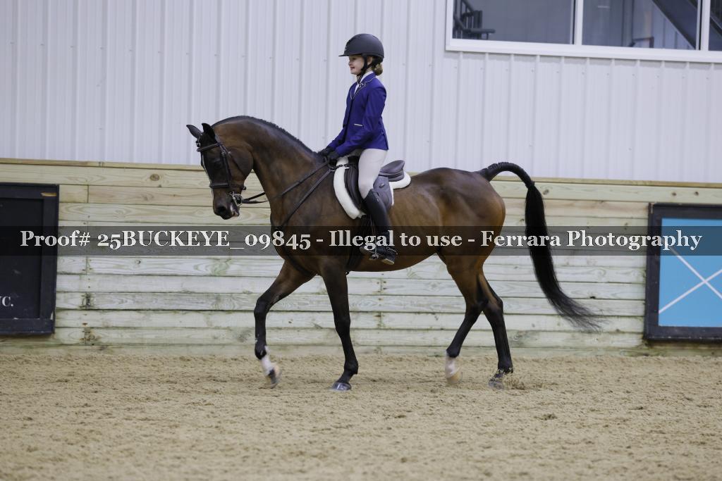 Proof Number 25BUCKEYE_09845