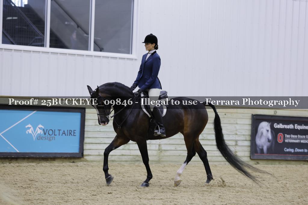 Proof Number 25BUCKEYE_09846