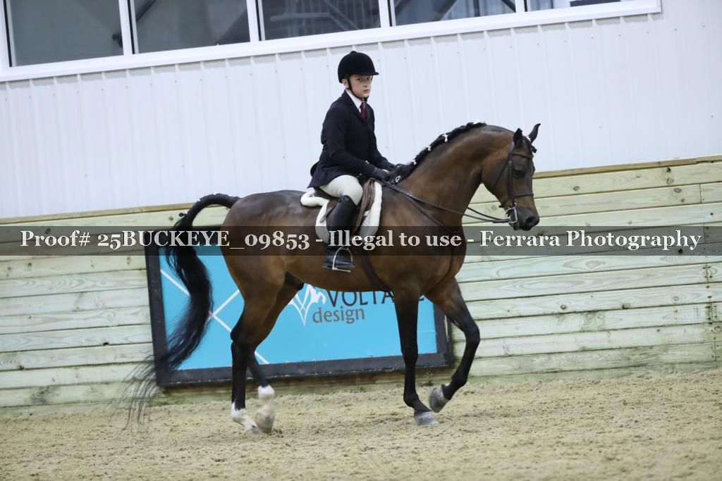 Proof Number 25BUCKEYE_09853
