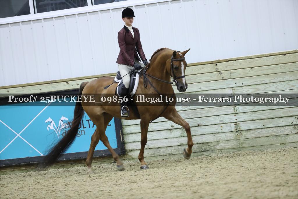 Proof Number 25BUCKEYE_09856