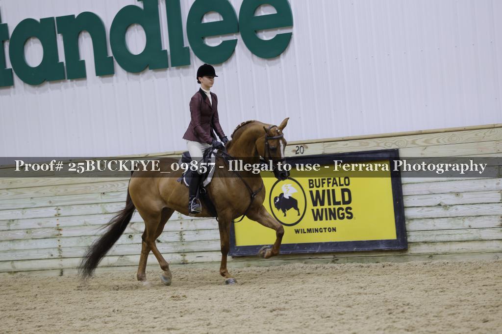 Proof Number 25BUCKEYE_09857